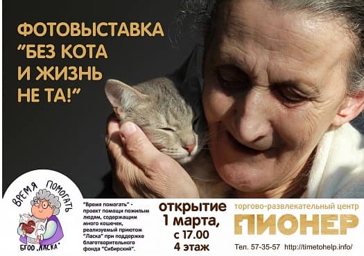 Всероссийский день кошек первого марта! Как отметить этот праздник?